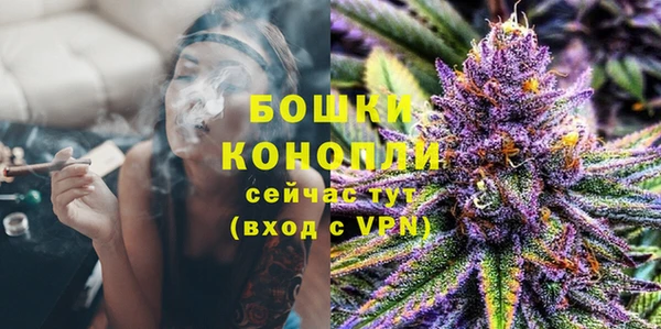 сатива Вязьма