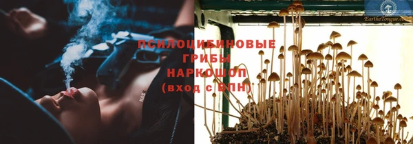 молекула духа Вяземский