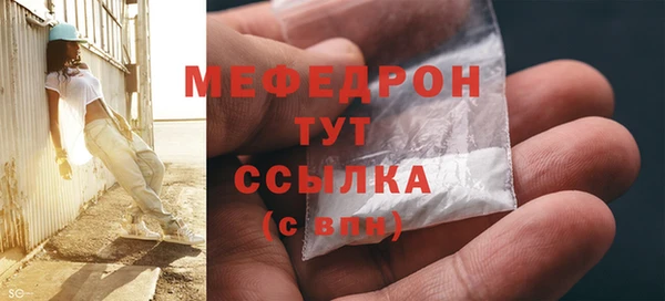 молекула духа Вяземский