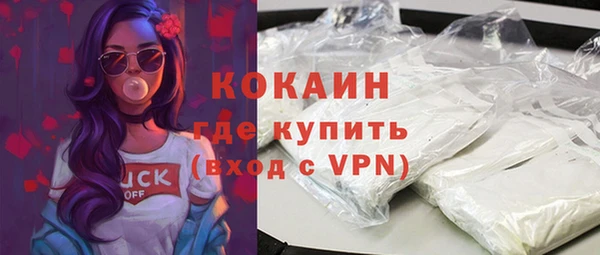 молекула духа Вяземский