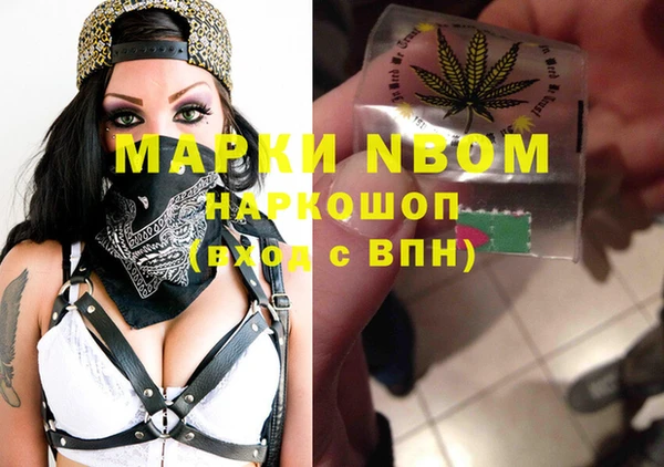 сатива Вязьма