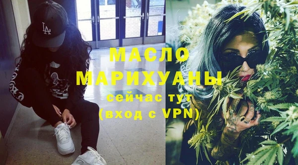молекула духа Вяземский
