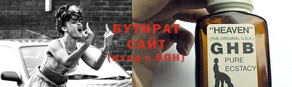 молекула духа Вяземский