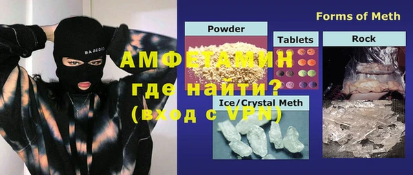 молекула духа Вяземский